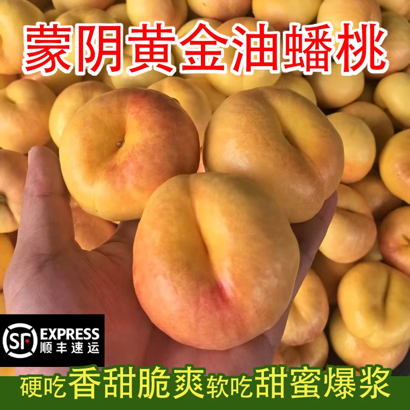 【顺丰包邮】正宗蒙阴黄油蟠桃彩虹蟠桃蒙阴黄油蟠桃现摘现发蟠桃