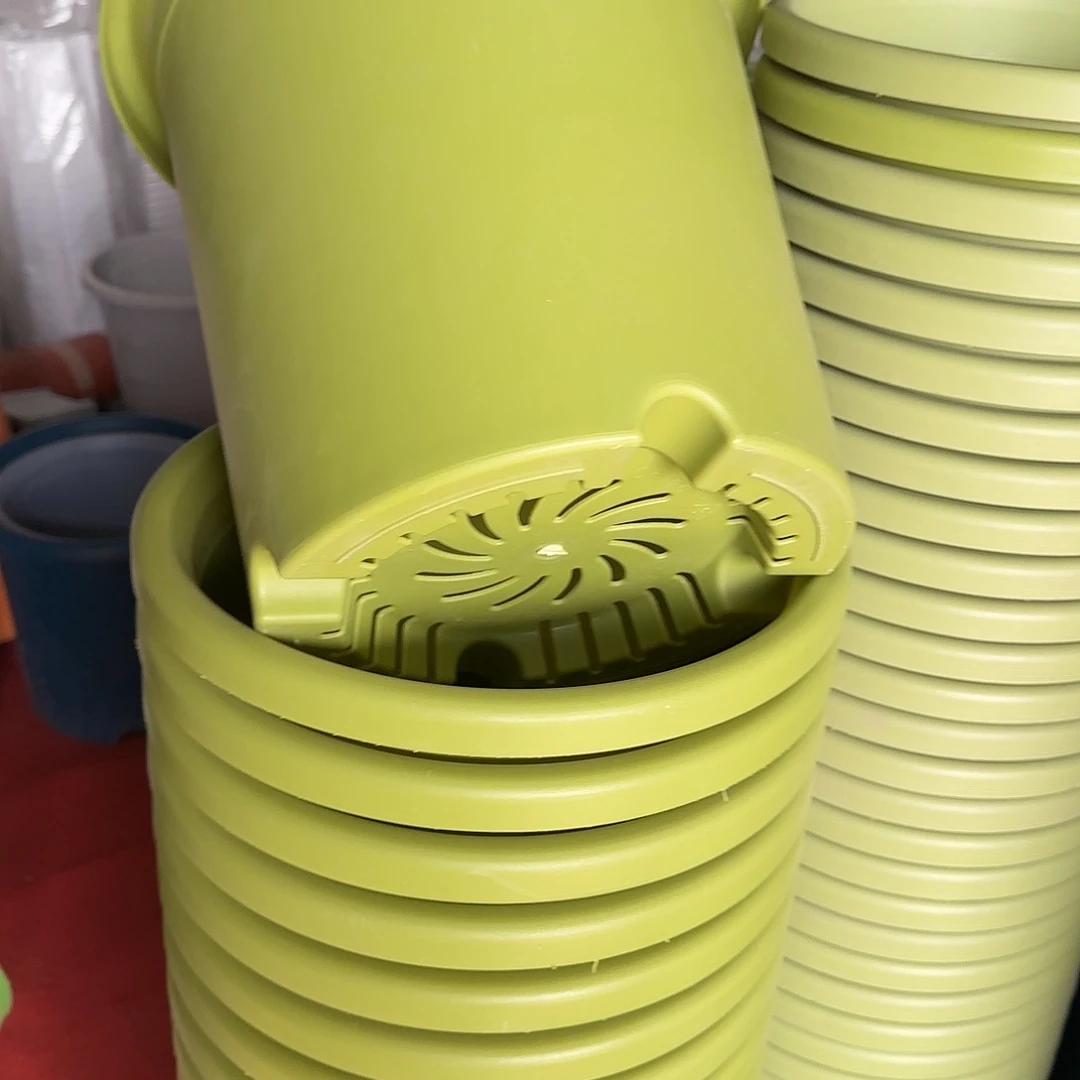 树脂四季7号无托6个果绿微