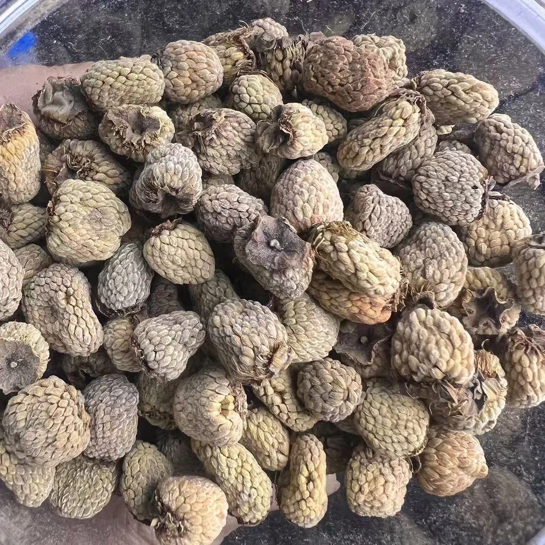 云南深山好物--覆盆籽