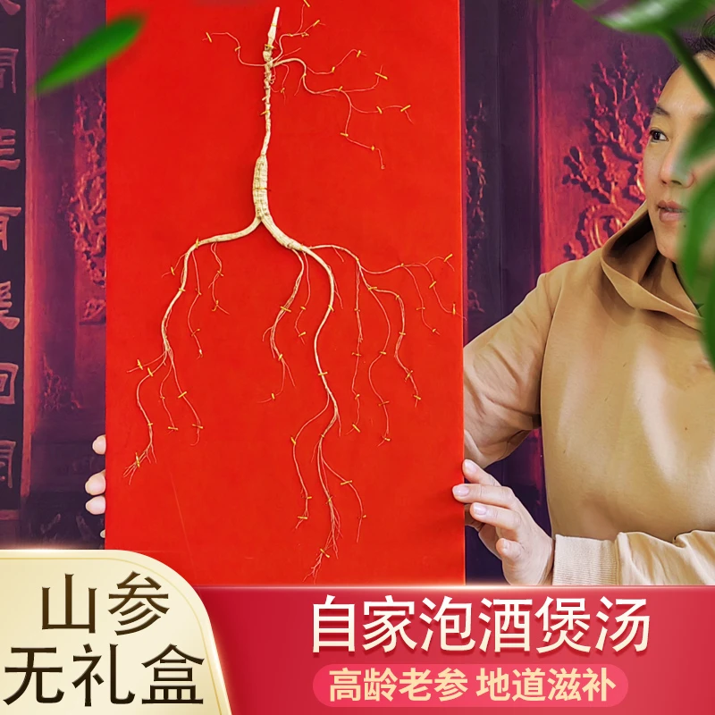 散装--东北长白山人参生晒人参山参林下参煲汤泡酒煮茶