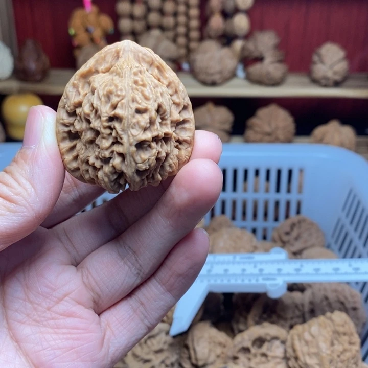 放***牛把件文玩核桃尺寸