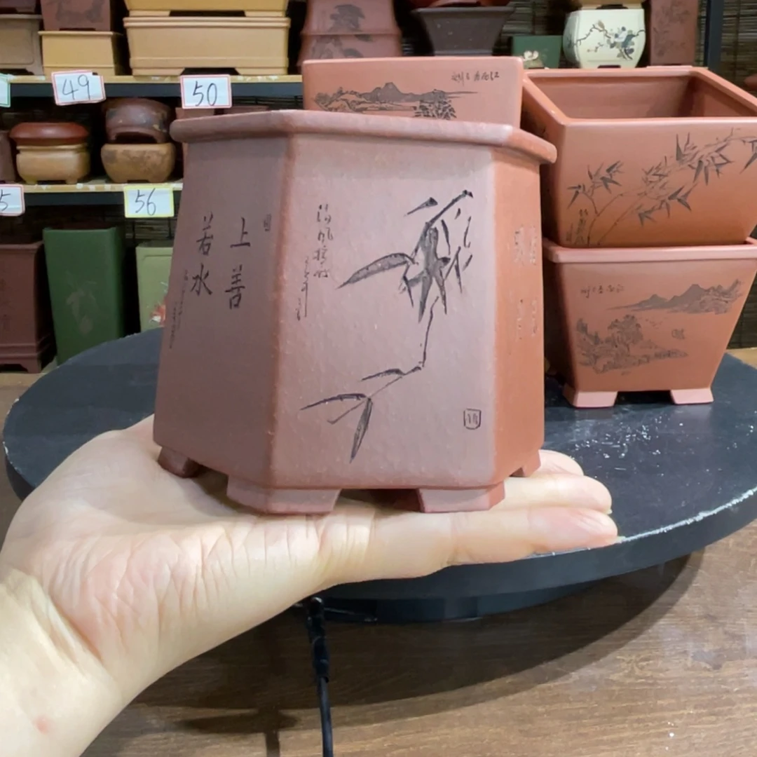 六***妈紫砂花盆我们都要