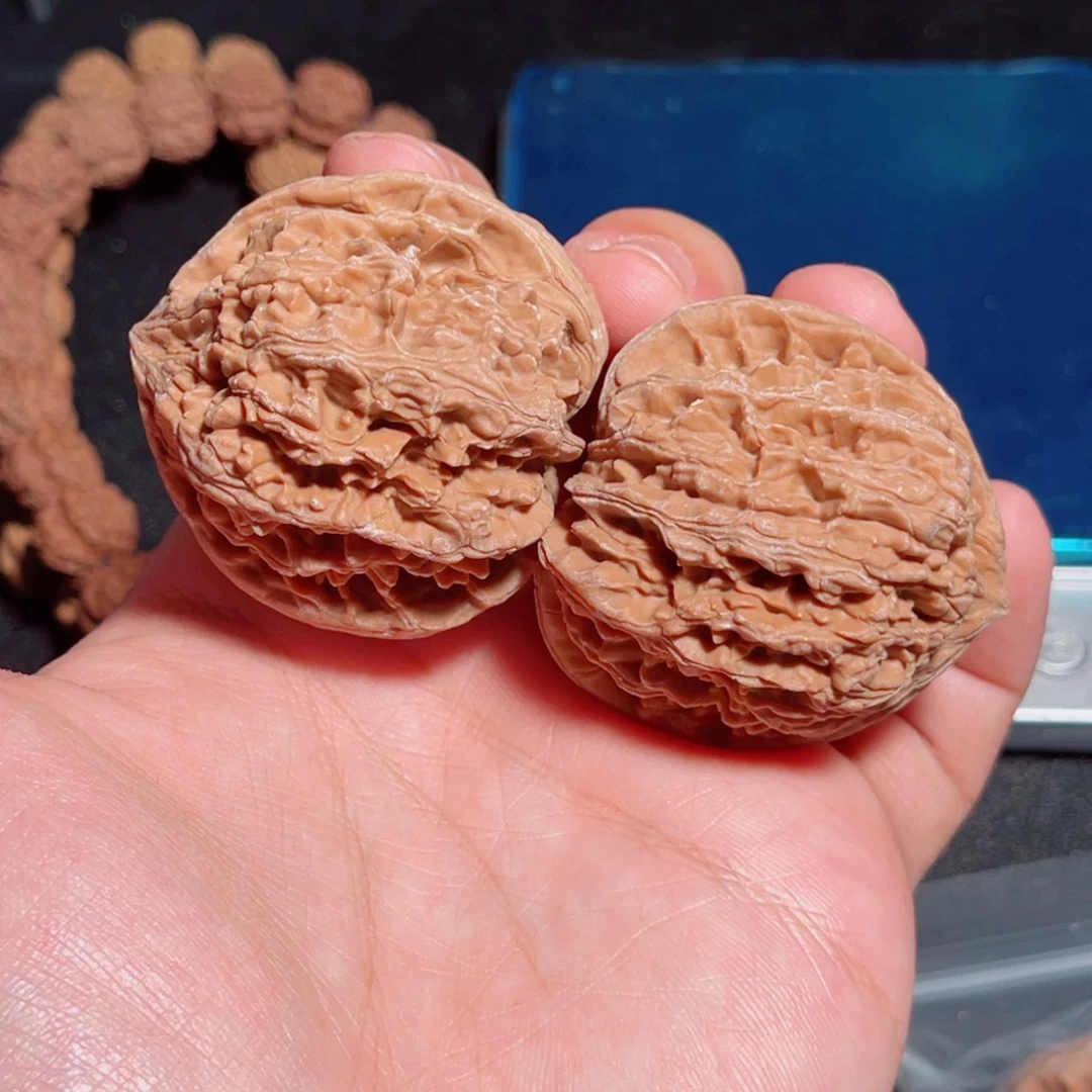 44全品山地小众克重50