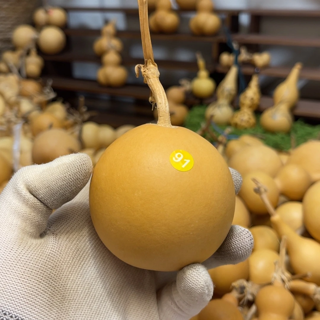 闪拍葫芦链接-91号品