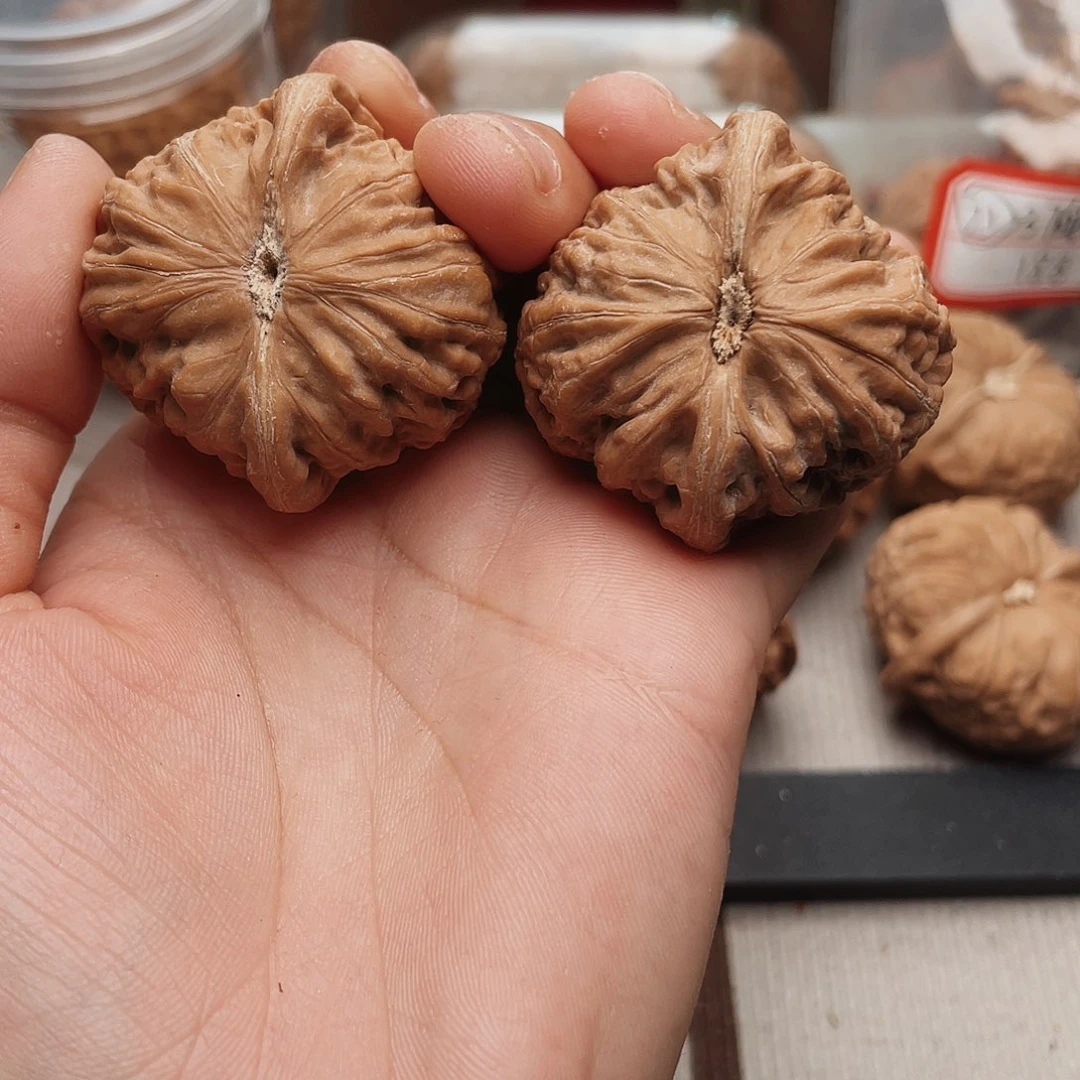 可**田塔咯哦小心翼翼小心翼翼