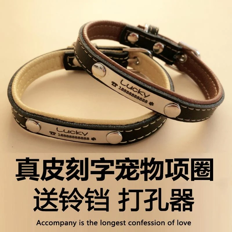 牛皮刻字猫牌项圈定做防丢身份牌金毛泰迪可爱宠物调节颈脖套铃铛