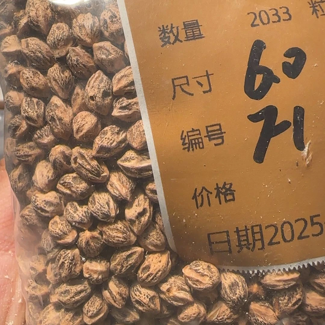 柏香籽/百香籽吊坠F1