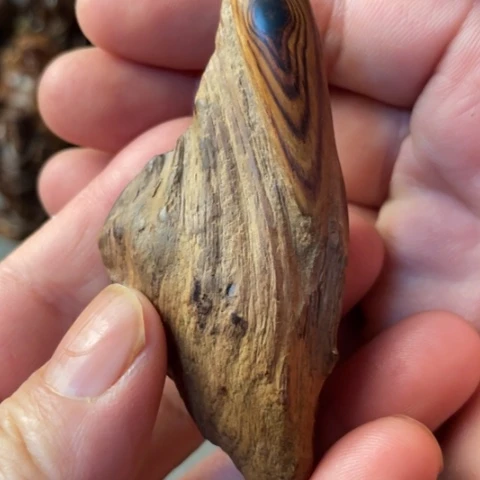 【闪购商品】把件黄花梨/降香黄檀