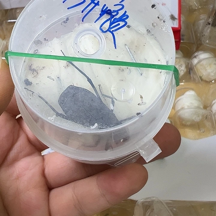 研***员哈哈哈哈哈哈哈哈哈哈