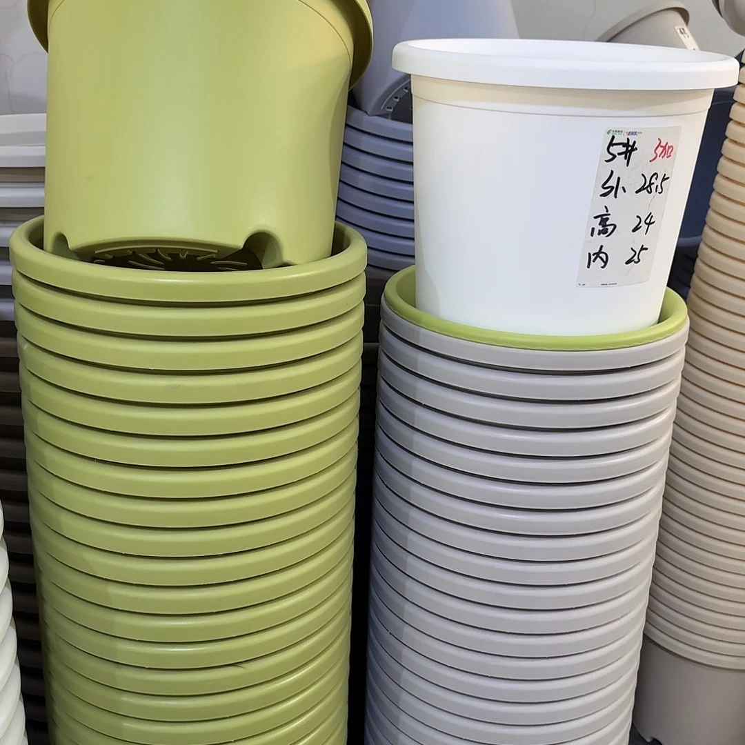 微瑕5号6个无托，果绿