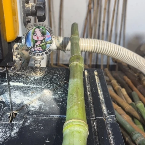 佛***手实心竹竹竹竹竹竹竹竹竹竹竹竹