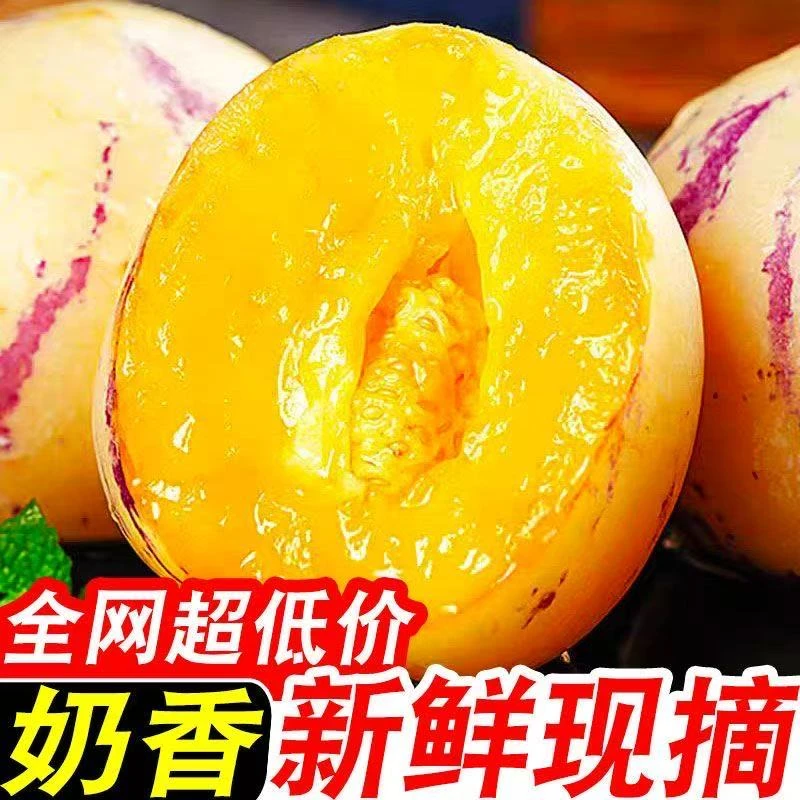 【树上熟】云南人参果树上熟人参果清甜黄心汁水充沛新鲜现摘
