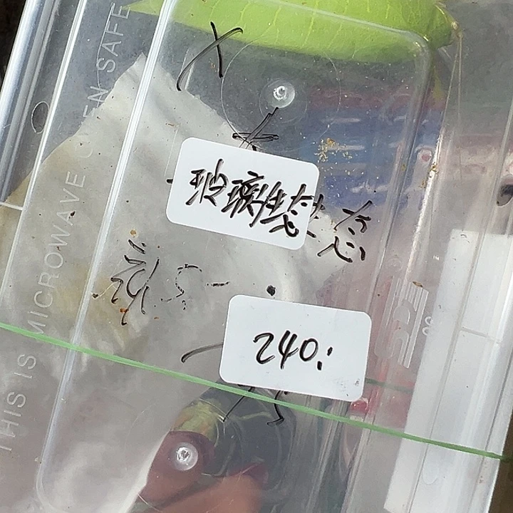 X***蟋蟀哈哈哈哈哈哈哈哈哈哈