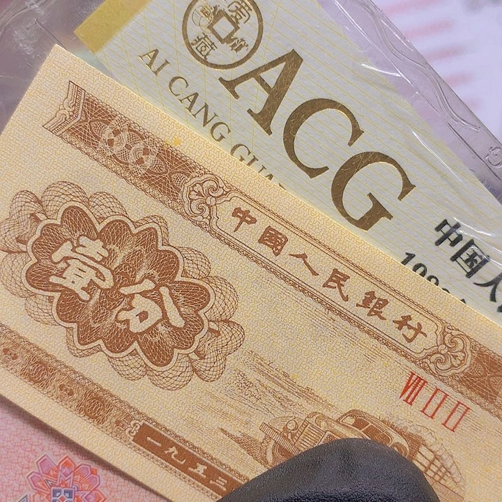 捆拆豹子号标十一组一组一组不挑号