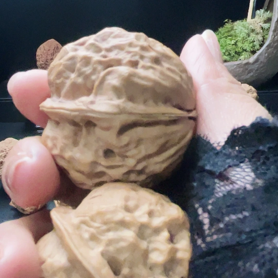 灵***司把件文玩核桃玄武…………