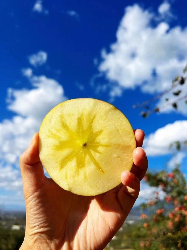 昭通糖心丑苹果又脆又甜