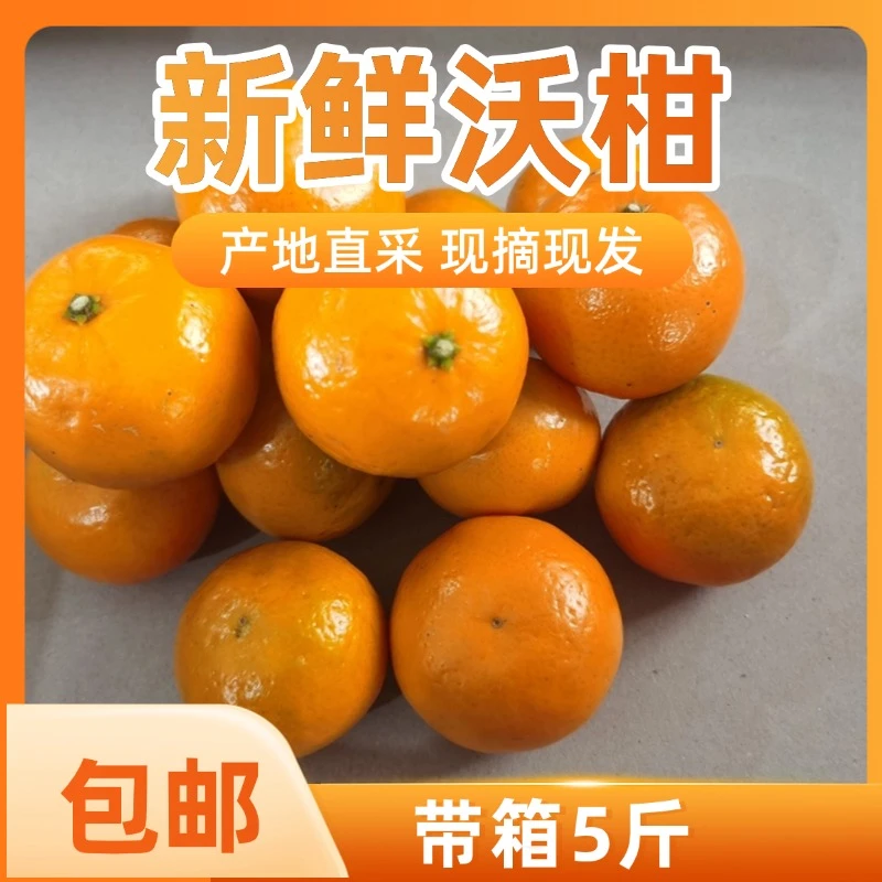【坏果包赔】沃柑当季新鲜采摘水果皮薄多汁橘桔子爽口5斤带箱