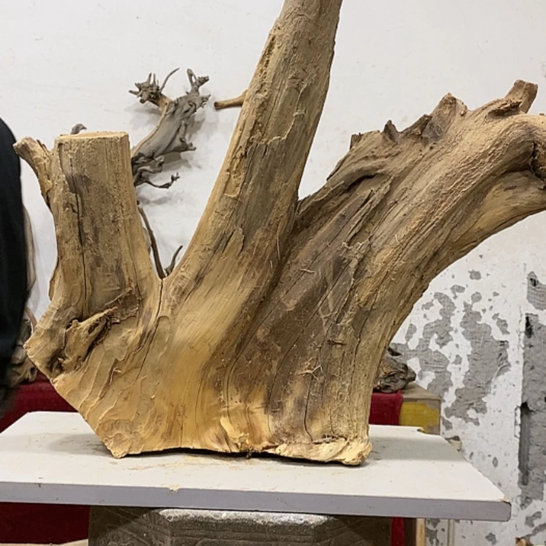 【闪购商品】柏木展****）我们都是好孩子