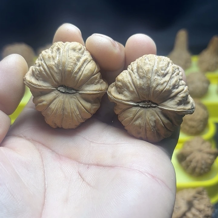 把件文玩核桃全品南瓜墩44尺1