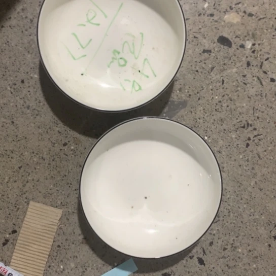 碗陶瓷艺术作品欣赏