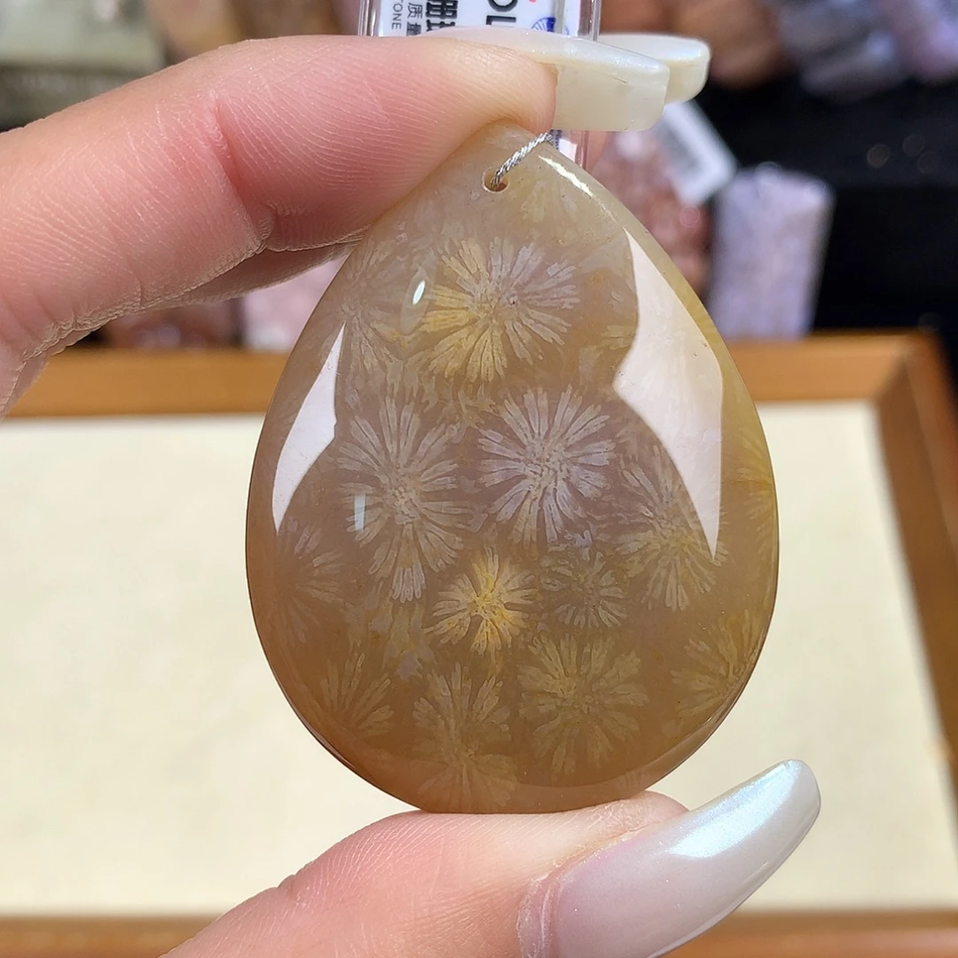 吊坠(赠链)未镶嵌硅化珊瑚（珊瑚玉）14号