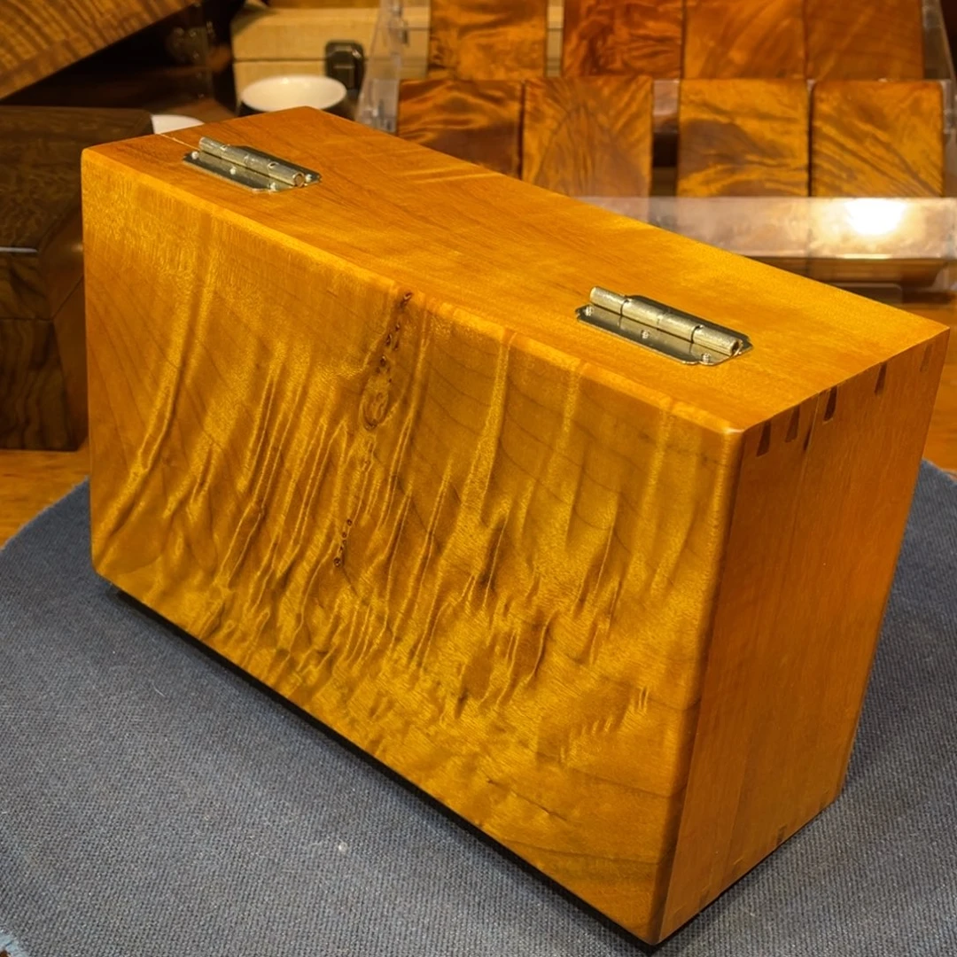 金丝楠小叶桢楠26cm满花