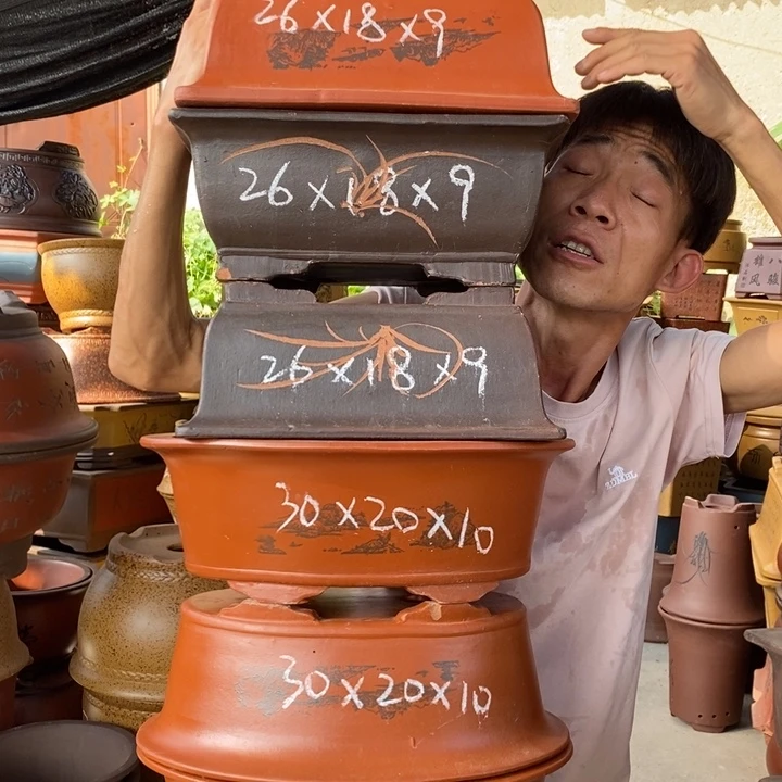 紫砂紫砂紫砂紫砂