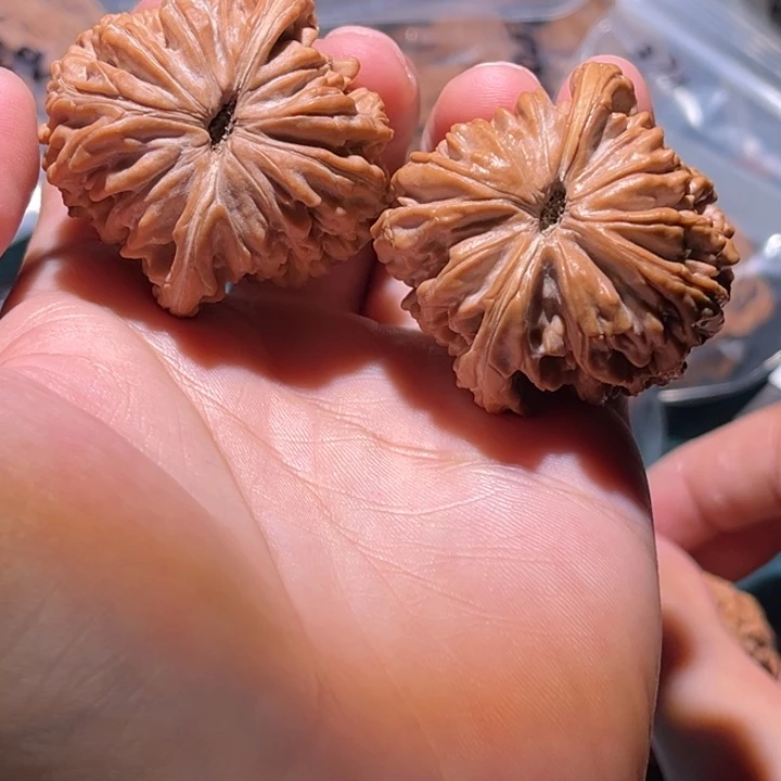 刀***X把件文玩核桃41楼子毕业对