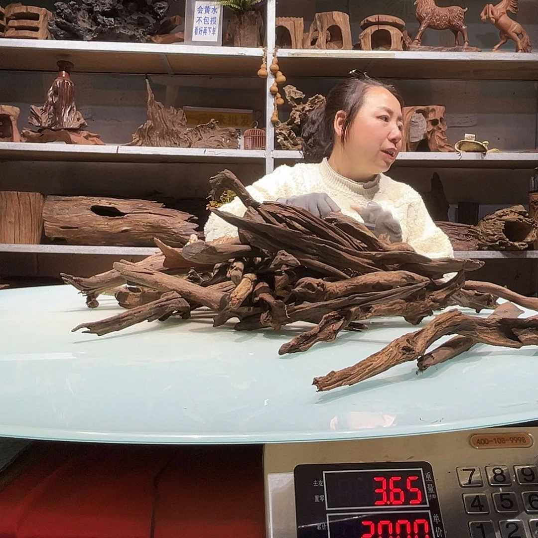 紫砂紫柚沉木至**上2800紫柚枝条