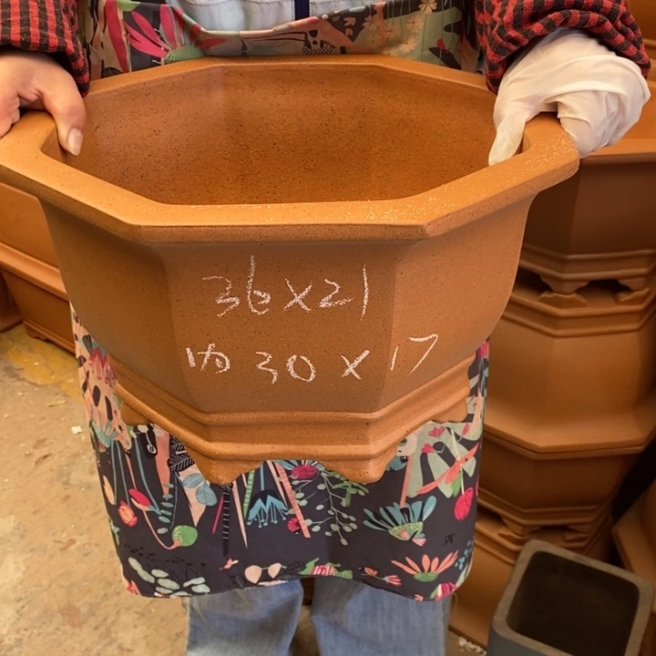 花盆紫砂只顾看电视剧