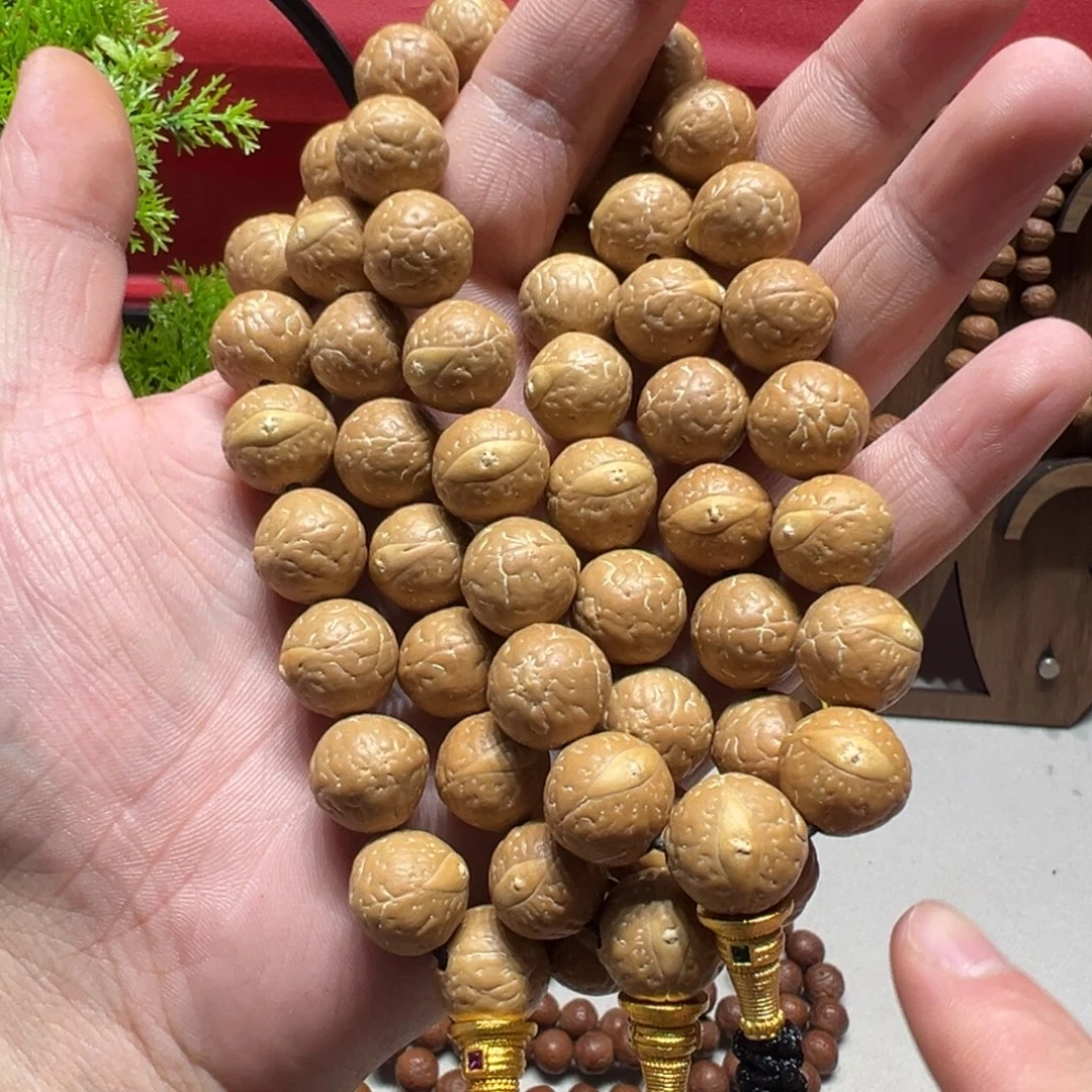 手串凤眼菩提14mm左右随机发一条