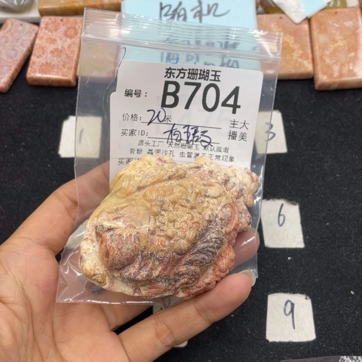 硅化珊瑚（珊瑚玉）颈饰合金星*✨