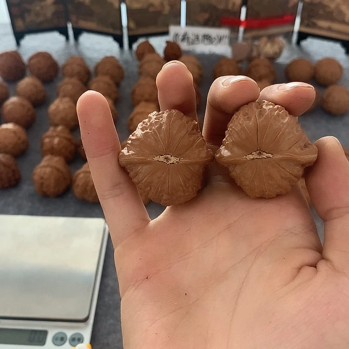 孽*铁锤妹妹全品无修