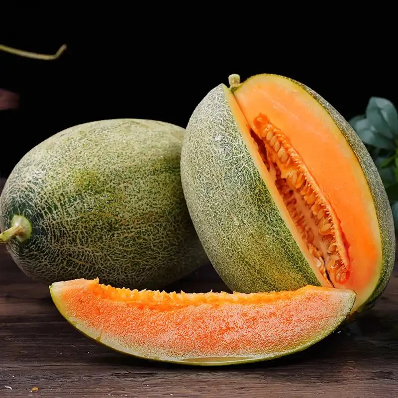 海南海沙阳光哈密瓜，又脆又香又甜，喜欢吃瓜的一定带回家