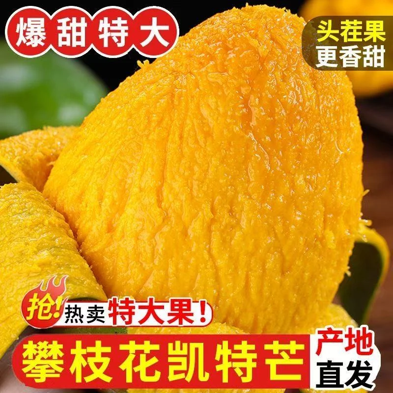 sw正宗攀枝花凯特芒芒果大脸芒新鲜头茬果软糯香甜多汁核薄肉厚
