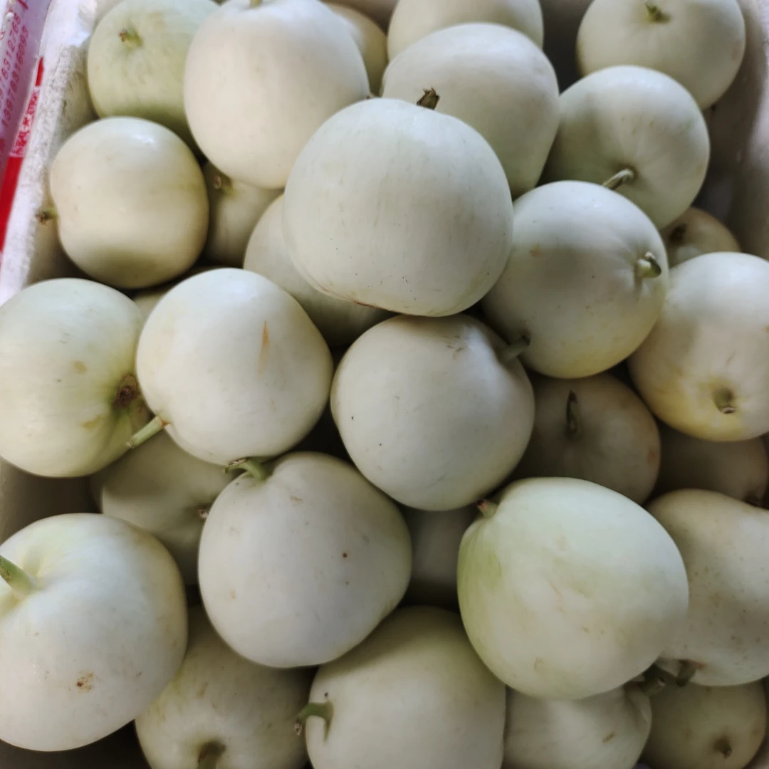 【顺丰包邮】广西桂林本地新鲜香瓜