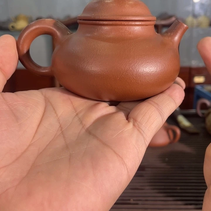 茶壶紫砂哈哈哈哈哈这个综艺节目真的是太棒