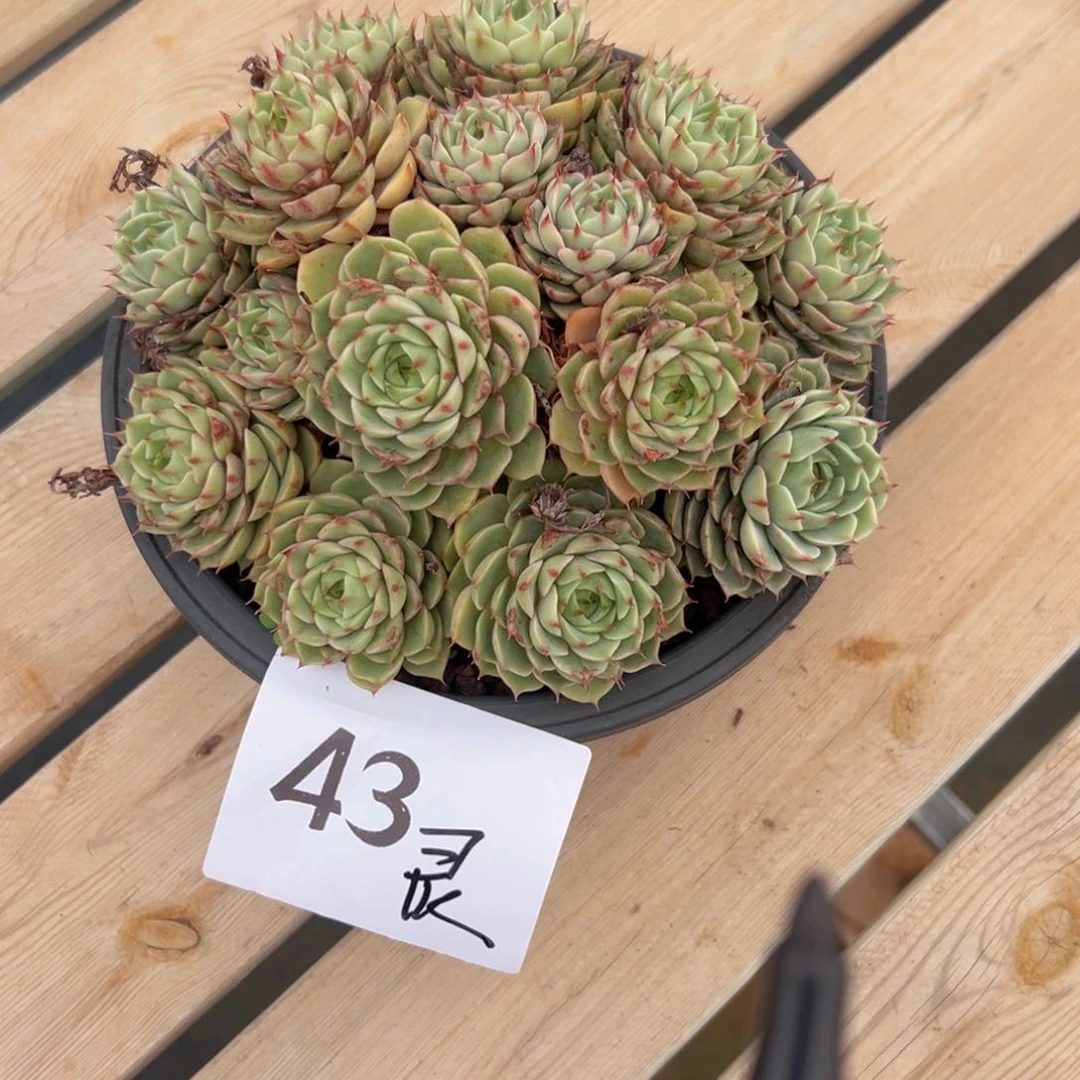 ?****?43？B下班不错彼此彼此吧你吃呢