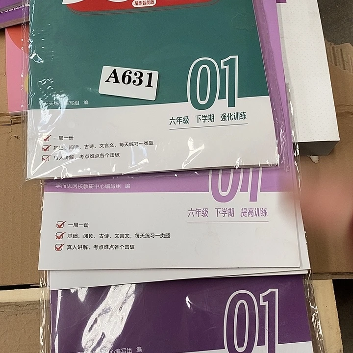 六年级下学期天天练三套