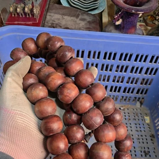 二***哥衣服啊啊啊啊啊啊啊啊