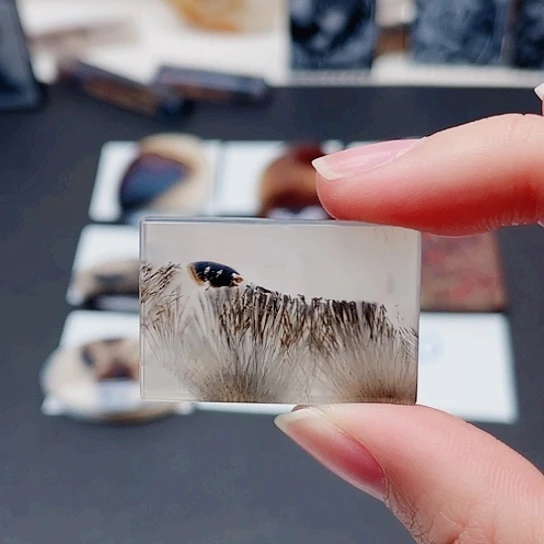 玛瑙/玉髓珠宝奇石未镶嵌