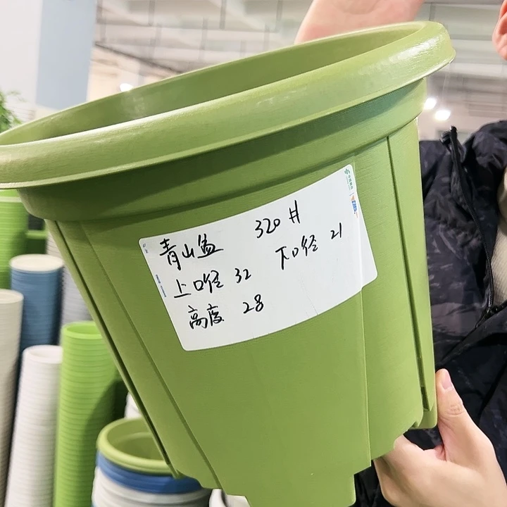 正品青山口32高28果绿无托5只