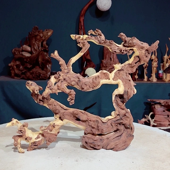 黑果木随*355金丝红木羊蹄甲半成品经典款特价