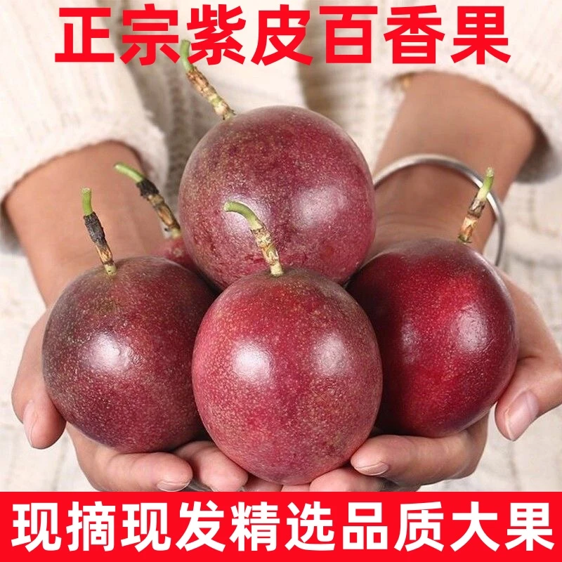 【5斤亏本卖】云南紫皮百香果台农一号百香果新鲜水果非黄金百香果