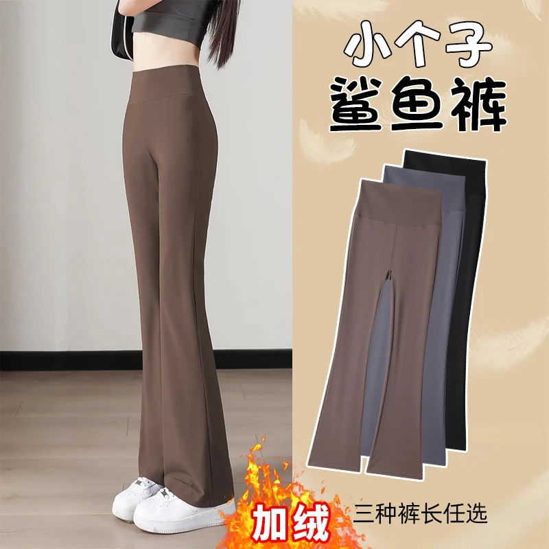 145小个子微喇鲨鱼裤女秋冬加绒外穿打底裤女150矮个子瑜伽马蹄裤