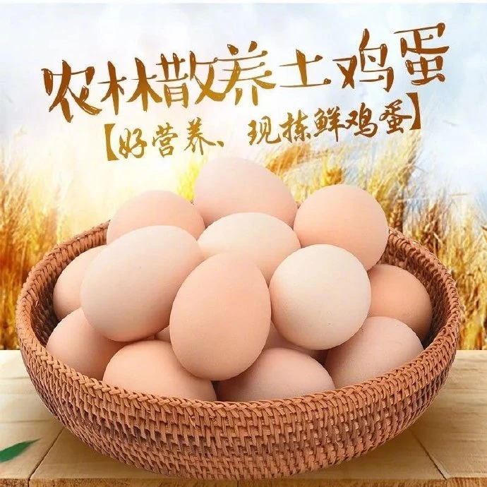 农家散养土鸡蛋新鲜营养每日甄选鲜蛋