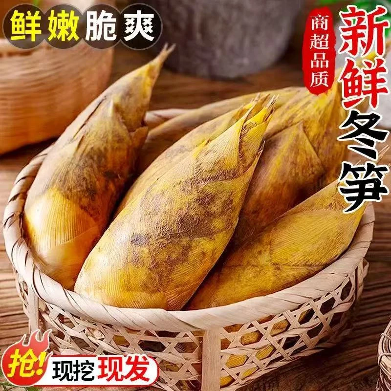 【精品两头尖】建瓯新鲜黄泥两头尖现挖高山纯天然冬笋脆嫩鲜甜肉