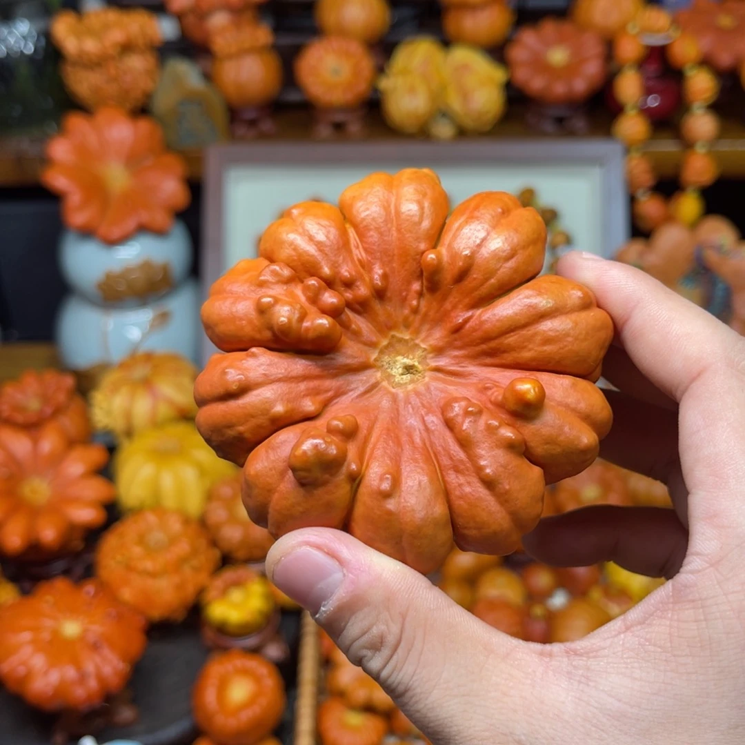 开**乐哈喽哈喽哈喽哈喽哈喽哈喽