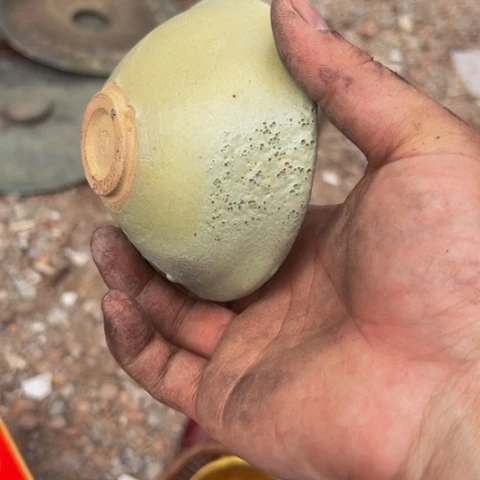 杂色豆（科檀/科特迪瓦檀木）李*生