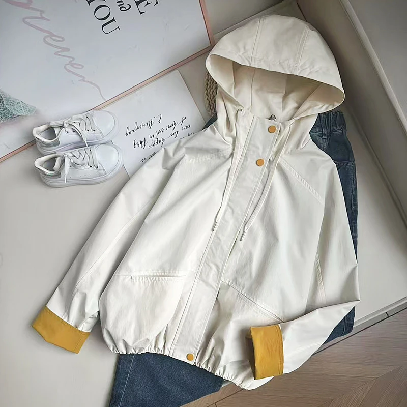女童外套2025春季新款时尚中大童连帽翻领百搭休闲上衣外衣Q62308